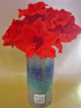 Αμαρυλλίδες σε γυάλινο κύλινδρο 12χ30  με χρωματιστό διακοσμητικό ζελέ