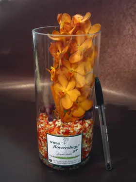 Vase with vanda orchids