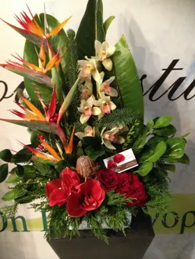 Christmas Arrangement with tropical flowers in parallel lines.