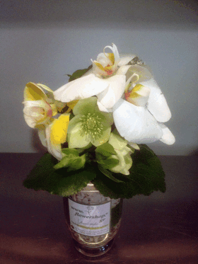 Small vase with vanda or phalaenopsis