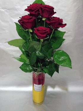Red roses (10) stems "extra quality"