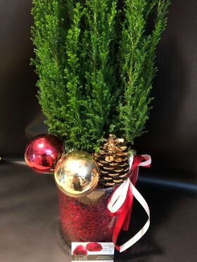 Χριστουγεννιάτικο Δενδράκι (Κόνιφερ) σε βάζο με διακόσμηση. (Κύλινδρος διαμ. 15 εκ. ύψος 20 εκ.)