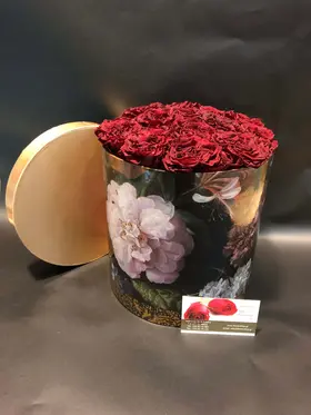 Roses Preserved in decorative  20 cm x 20 cm "Divine  Hatbox". (15) heads.