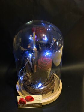 Roses Preserved in "Glass Fanus" Diam 17 cm Height 24 cm . Blue + Red (4) heads. +leds (special)