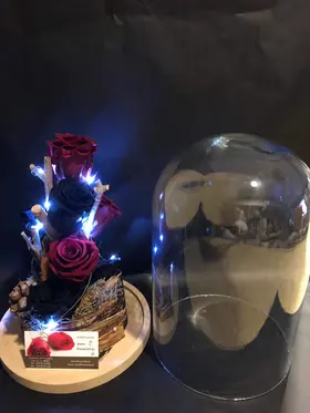 Roses Preserved in "Glass Fanus" Diam 17 cm Height 24 cm . Blue + Red (4) heads. +leds (special)