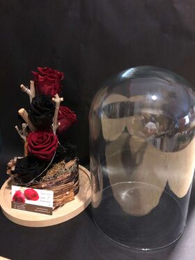 Ανθοπωλείο. (4) Βαλσαμωμένα "4ever" τριαντάφυλλα σε "Γυάλινο Θόλο" Διαμ 17εκ. χ 24εκ.Roses Preserved in "Glass Fanus" Diam 17 cm Height 24 cm . Blue + Red (4) heads.