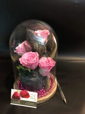 Roses Preserved in "Glass Fanus" Diam 17 cm Height 24 cm . Romantic Pink (4) heads.