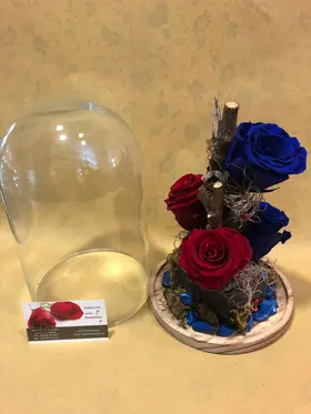 Roses Preserved in "Glass Fanus" Diam 17 cm Height 24 cm . Blue + Red (4) heads.
