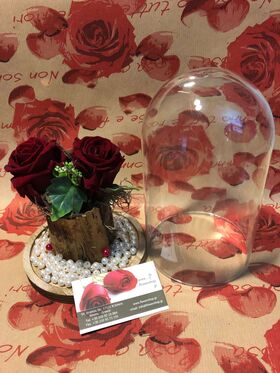 Rose (2) Head Size (6) cm  (preserved) In Arrangement with decoration !!! Beauty and the beast !!!