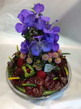 phalaenopsis tray.jpg