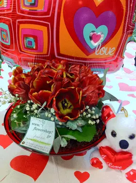 (10) red tulips in glass red plate + balloon +  bear !!!