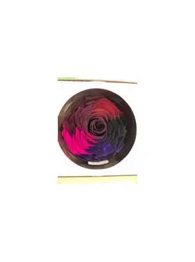 Rose Forever XXL (12cm) in Exclusive Gift Hat Box !!!