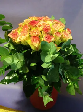 (25) red & pink roses bouquet Extra Quality Dutch + Ceramic quality vase!!! Super week Offer.(25) red & pink roses bouquet Extra Quality Dutch + Ceramic quality vase!!! Super week Offer.