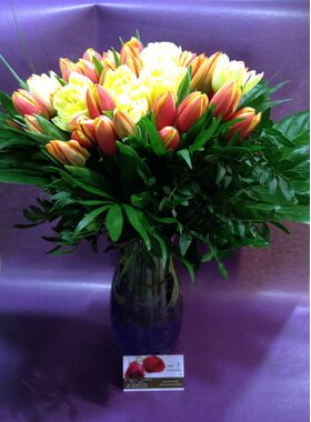 Tulips (30) stems gift wrapped. Special +15 euro