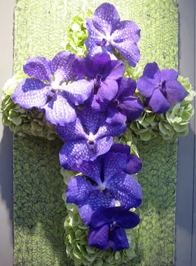 horti12-06.gif