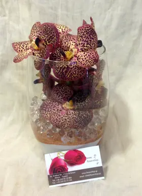 Vase with vanda orchids