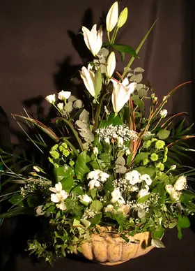 White and green flowers in ceramic pot
