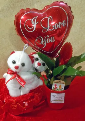 Valentine Love plant "Vriesia"