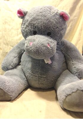 Teddy bear   60-80cm++  X-Large