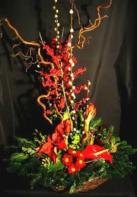 Christmas arrangement in a basket. Flat sallix !!!