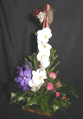 Basket with phalenopsis orchids and vanda