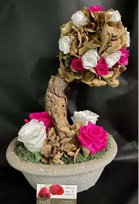 Τριαντάφυλλα Βαλσαμωμένα (forever roses). Rose Tree.
