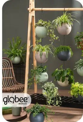 Το Globee είναι εύκολο να τακτοποιήσετε και να το συνδέσετε με διάφορους τρόπους.
Για να μπορέσετε να πρασινίσετε τον κόσμο σας με έναν απλό, κομψό τρόπο και εξοικονομώντας χώρο.
