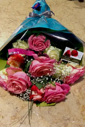 Big headed ecuadorian (best in the world) roses bouquet (41 stems) with greens !!! (mixed colors)