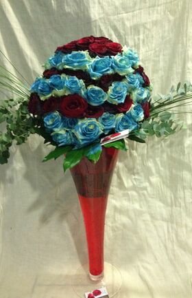 Exclusive Ecuador Roses Red & Blue Total 120 stems in Heavy Clear Glass Vase (height +70cm).