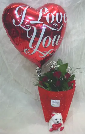 Red roses (9) stems in modern water flower bag