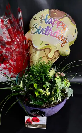 Plants Arrangement In Quality "Artstone" Pot. Special.