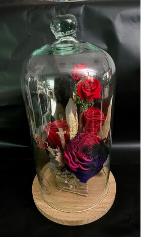 Τριαντάφυλλα Βαλσαμωμένα σε γυάλινο θόλο ύψ. 30-35εκ.