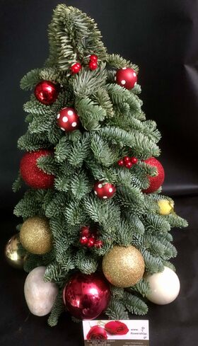 Christmas Tree Abies Nobilis Arrangement 30cm. Ideal Decoration Article for Office & Home Tables & Desks during Christmas Season.