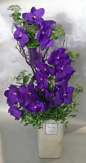 Arrangement with vanda orchids