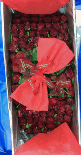 Μεγάλο κουτί (1,00μ. χ 0,40μ. χ 0,40μ.) με 150 Κόκκινα Exclusive Dutch Roses 60cm