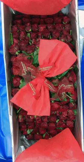 Giant Box (1,00m x 0,40m x 0,40m) with 150  Red Exclusive Dutch Roses 60cm !!!