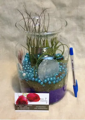Αερόφυτα Tillandsias Σε Γυάλινο Βάζο Εξτρα !!!