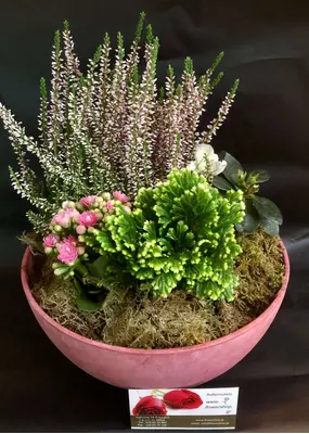 Σύνθεση με Φυτά Σε Ποιοτικό "Artstone Pot".