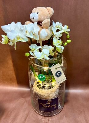 Ορχιδέα Μίνι Βαλεντίνου σε γυάλινο βάζο με διακόσμηση, αρκουδάκι & leds. Φυτό Αγάπης!!!