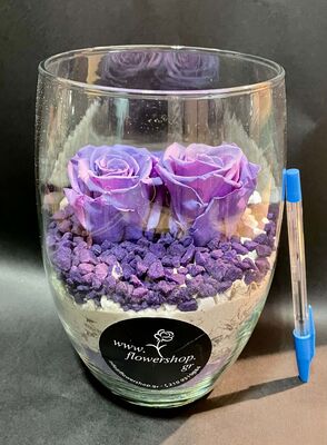 Rose Forever  (2 heads) in glass vase with decorative colored sand.
