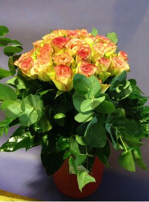 (25) red & pink roses bouquet Extra Quality Dutch + Ceramic quality vase!!! Super week Offer.(25) red & pink roses bouquet Extra Quality Dutch + Ceramic quality vase!!! Super week Offer.