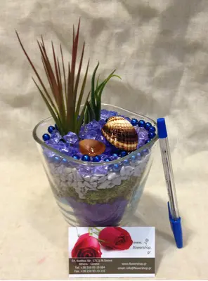 Air Plants tillandsias in glass vase with decoration.