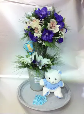 new born tree.jpg