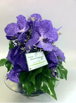 Arrangement with vanda orchids in glass plate