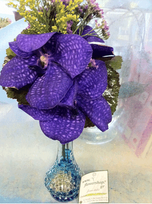 Small vase with vanda orchids