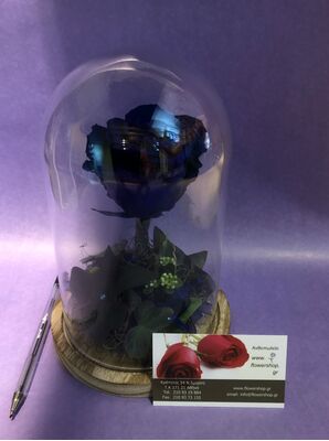 Τριαντάφυλλο βαλσαμωμένο (1) Τεμ. σε σύνθεση. "Η Πεντάμορφη & Το Τέρας " Σπέσιαλ.