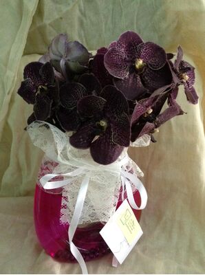 Exclusive vanda orchids in design glass vase.Exclusive.