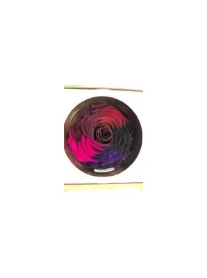 Rose Forever XXL (12cm) in Exclusive Gift Hat Box !!!