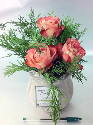 Season flowers - Random Varieties