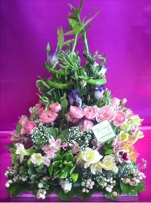 Arrangement in rectangular aluminum tray